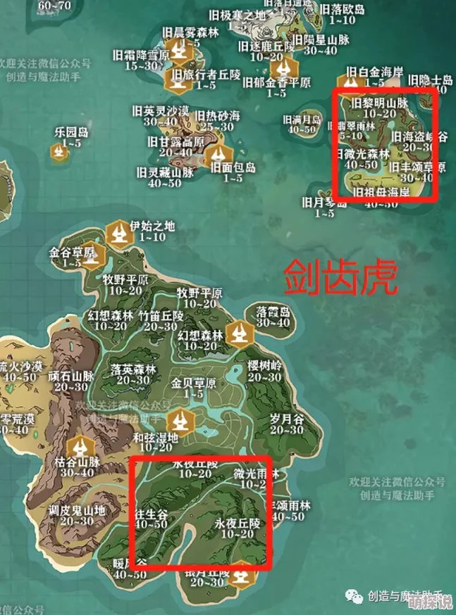 创造与魔法游戏攻略：如何捕捉宠物猫及寻找猫咪位置指南