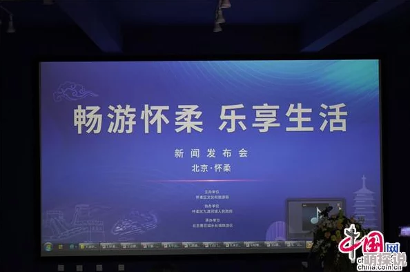探索国产91精品一区：优质内容与独特体验的完美结合