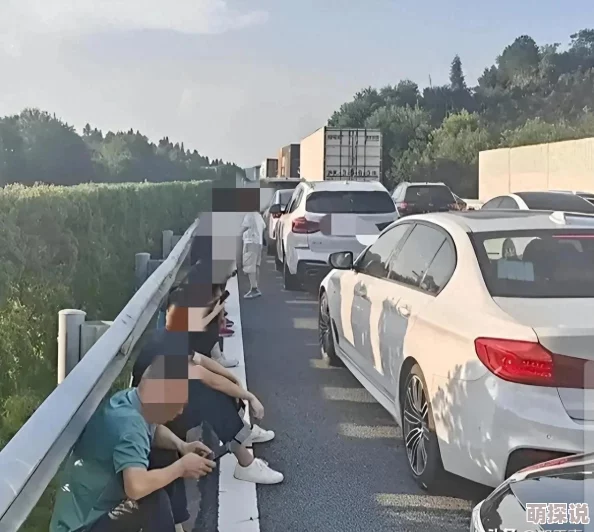 探索脱裤吧视频的魅力：如何在轻松幽默中找到生活的小乐趣与社交新方式