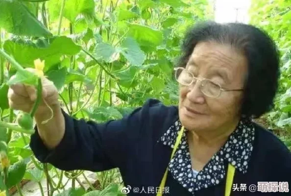 91吃瓜今日吃瓜入口fun：最新事件进展与网友热议，精彩不断引发关注！