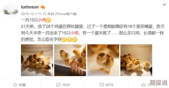 探索两性关系的奥秘：全景式视频记录亲密互动全过程，揭示爱的真谛与情感交流的深度体验