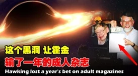 探索无界限的视觉盛宴：揭开无遮挡羞羞视频背后的秘密与魅力