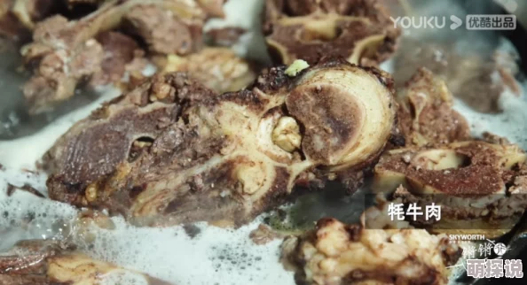 国产A级毛片久久久久久电视剧最新动态：剧情发展引发热议，观众期待更多精彩角色登场与情节反转！