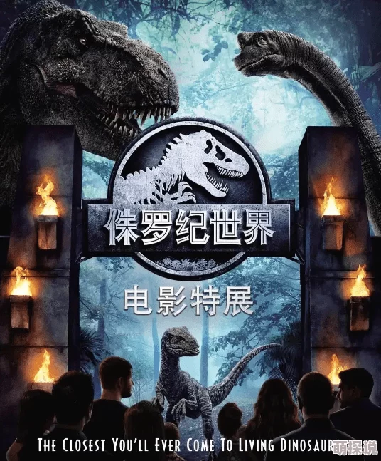 探索在线精品一区二区三区电影的魅力与精彩，畅享无与伦比的观影体验