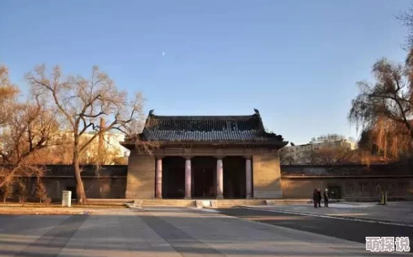 第五人格技巧：空军角色高效射中攻略，空旷地带开枪务必果断不犹豫