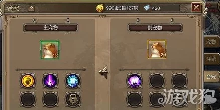 龙之荣耀：揭秘宠物成长秘籍，让你的伙伴变得更加强大攻略