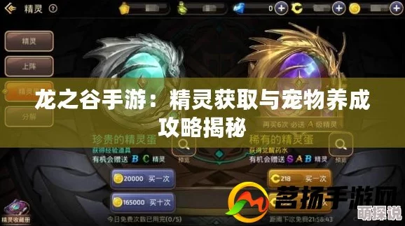 龙之荣耀：揭秘宠物成长秘籍，让你的伙伴变得更加强大攻略