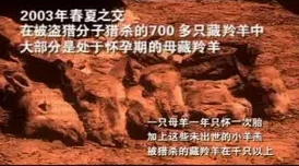 探索国产偷在线高清的魅力：揭示背后的故事与文化内涵，带你领略不一样的视听体验！