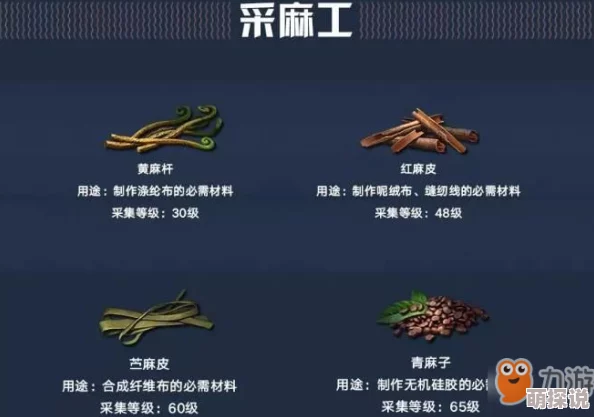 《明日之后》高效赚金条秘籍：掌握技巧，日入8-16W金条攻略大全