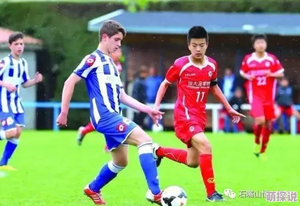 足球大逆袭：全面解析球员升级攻略与成长路径
