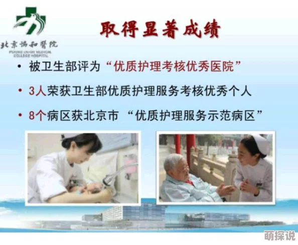 探索精品久久洲久久久久护士的专业护理服务与健康管理新理念