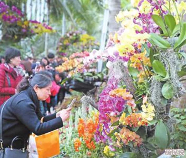 亚洲第一区香蕉_国产a：新鲜上市，品质优良，消费者热烈追捧，市场需求持续攀升！