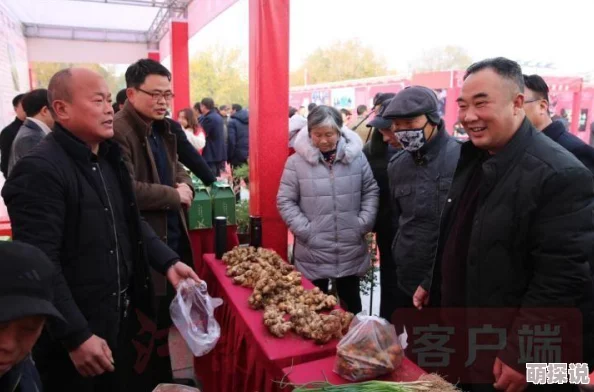 亚洲日本一线产区和二线产区对比：从经济发展、产业结构到市场需求的全面分析与研究