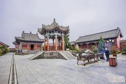 儿子快拔出去那是妈妈的！一场意外引发的家庭趣事，令人捧腹大笑的瞬间让人难以忘怀