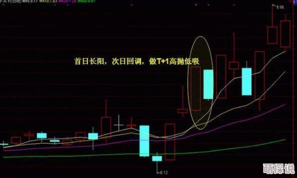 宿舍里被打的最深的一天：惊现神秘黑影，学生们夜晚不敢入睡！