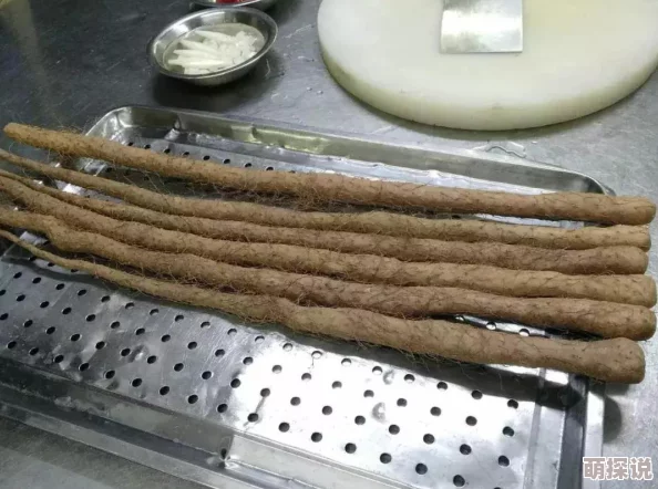 《精灵之境》游戏中获取蘑菇餐具的详细方法与攻略指南