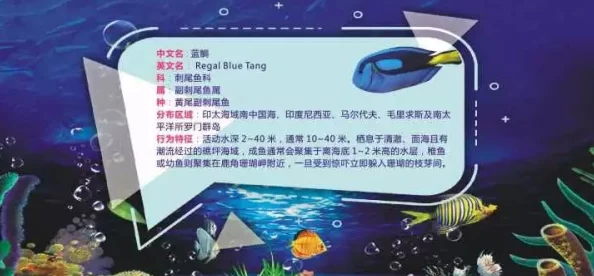 探索欧美一区二区三区免费不卡的无限魅力，畅享无广告干扰的高清视听盛宴！