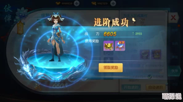 战国风云：跨越时空的遇见，执着之剑N卡全属性图鉴详尽一览