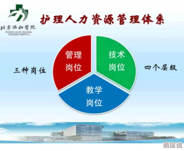 探索中国高清护士的职业发展与未来趋势:从技术革新到人文关怀的全方位视角 探索中国高清护士的职业发展与未来趋势:从技术革新到人文关怀的全方位视角