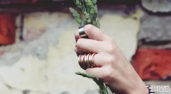 在激情与坚持的交织中,体验使劲别停带来的无尽快感与畅快淋漓的生活乐趣 在激情与坚持的交织中,体验使劲别停带来的无尽快感与畅快淋漓的生活乐趣