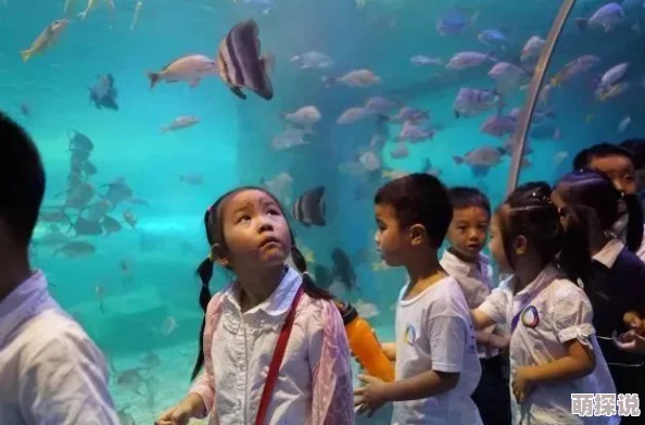 探索两人做爰视频免费的多样选择与精彩内容，享受亲密互动的乐趣