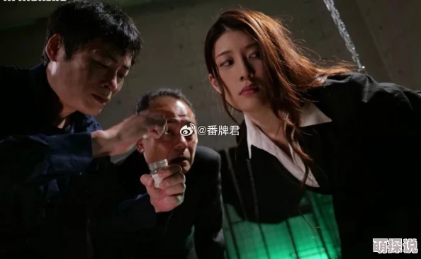 女搜查官的绝望追踪：惨遭蹂躏系列全景在线观看，揭示黑暗背后的真相与勇气