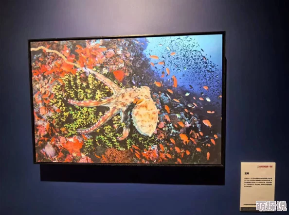 探索高清性色生活图片：展现真实与美的视觉盛宴