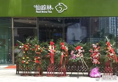 十八岁潮汕仙踪林：年轻人聚集的神秘乐园，热潮不断引发全城关注与热议！