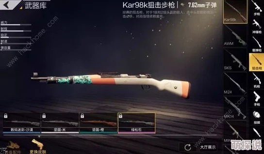 和平精英全枪械外观皮肤大全：炫酷涂装与独特造型一网打尽