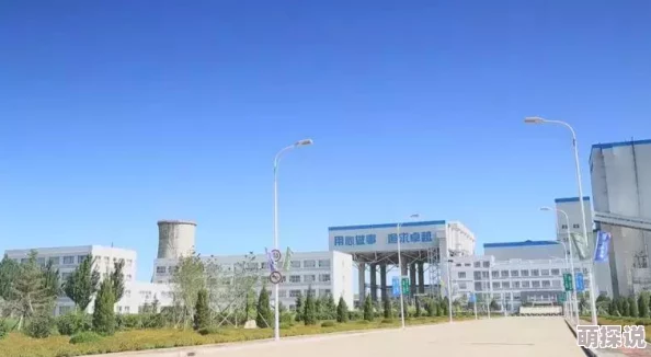 久久久久综合网久久：最新动态揭示了平台在用户体验和内容更新方面的持续优化，吸引了更多用户关注与参与