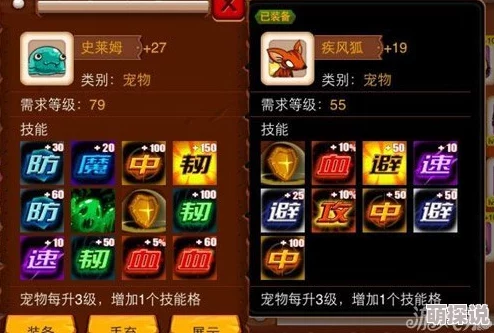 乱斗堂3新手外套选择推荐指南：宠物搭配攻略，助你快速成长
