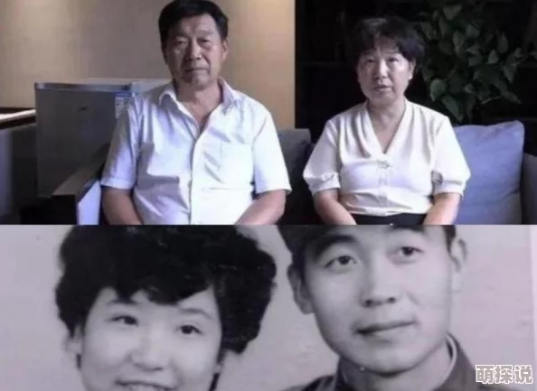 国产专区在线播放，网友们纷纷表示内容丰富多样，但也有部分人对版权问题提出了担忧，希望能有更好的监管措施