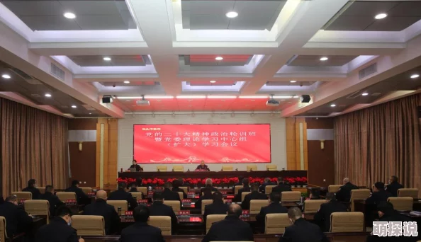 探索一级大学生的学习生活与成长经历：从课堂到实践的全面分析