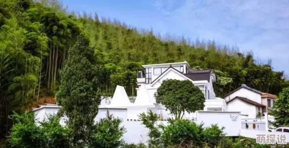 东南亚10一12仙踪林的旅游景点：最新动态与热门推荐，带你领略独特风光与文化魅力