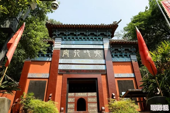 东南亚10一12仙踪林的旅游景点：最新动态与热门推荐，带你领略独特风光与文化魅力