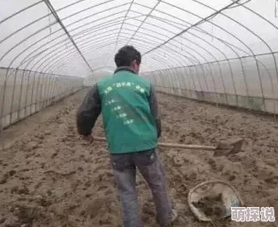 丝瓜草莓：某明星被曝与网红同框，引发绯闻传言风波