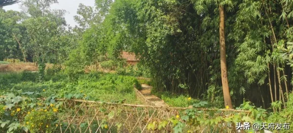 丝瓜草莓：某明星被曝与网红同框，引发绯闻传言风波