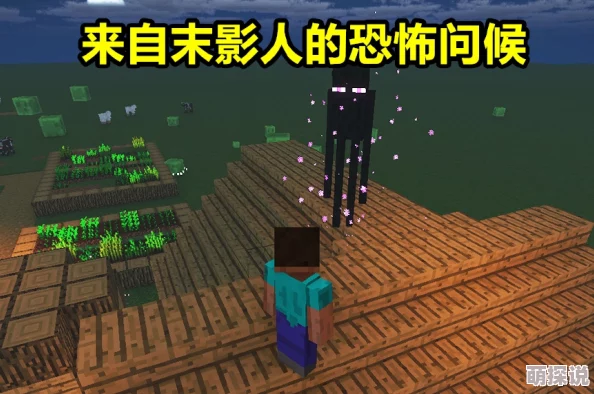 《我的世界》游戏指南：末影人图鉴详解及全面属性一览表