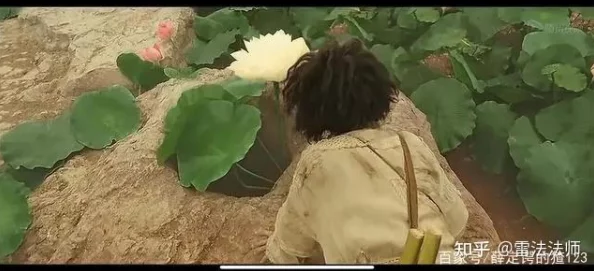 乡村乱肉情欲小说引发热议，网友们对其内容褒贬不一，有人认为是对乡村生活的真实反映，也有人批评其低俗