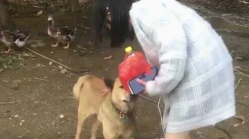 天天插天天爽，真是让人忍不住想要体验一下这种快乐的感觉！