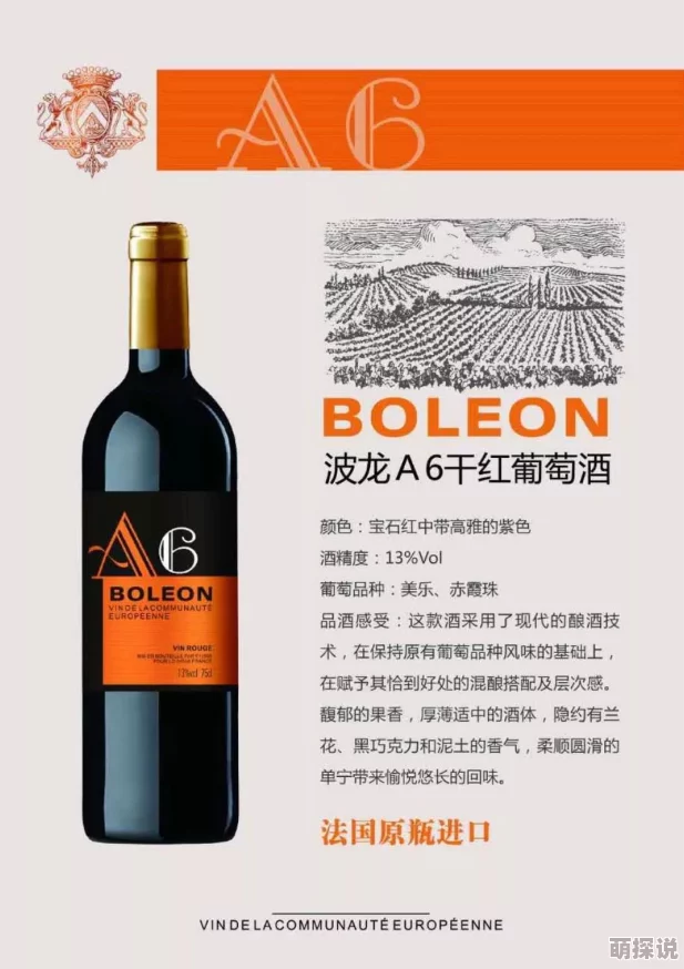 可乐福利导航：畅享超值优惠，解锁饮品新体验，尽在你的指尖！