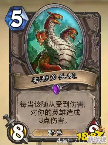 炉石传说：深入剖析多头蛇竞技场负面效果及实战高效用法讲解