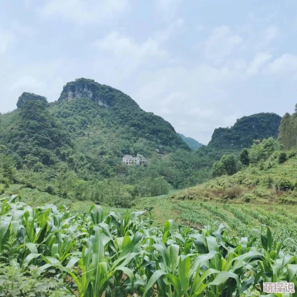 深一点好爽再深一点么公网友认为这部作品在情感描写上非常细腻，能够引起观众的共鸣，同时也有不少人觉得剧情设定略显夸张