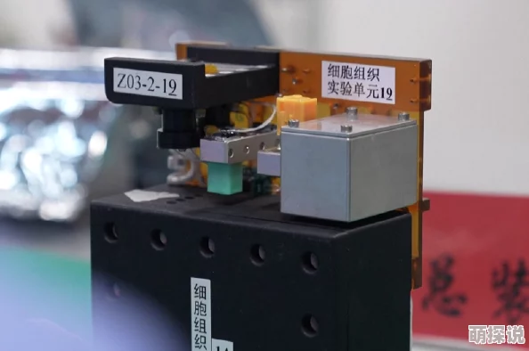 成品网站nike源码免费：最新动态与资源分享，助力开发者轻松搭建个性化电商平台