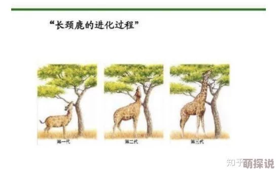 哥布林的巢穴：神秘生物的栖息地与生态系统研究新发现，揭示其对周边环境的重要影响