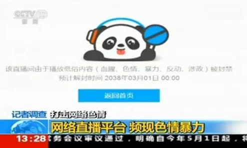 中国黄色大片：近年来网络监管加强，色情内容频遭打击，行业面临转型与挑战