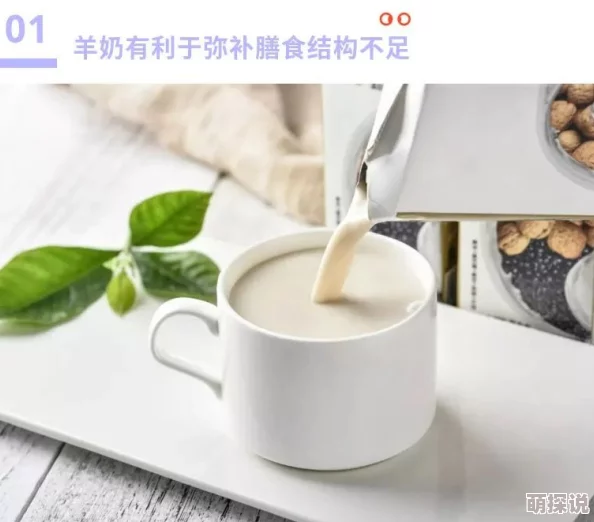 探索奶块热饮的多种合成方法：揭秘热门热饮的完美配比技巧