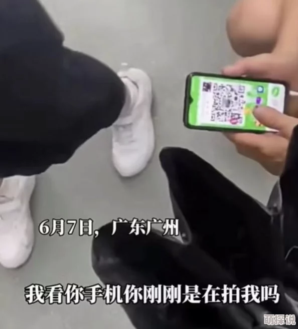 全部是女厕所偷拍视频网站：警方已介入调查，相关网站被关闭，涉事人员面临严厉法律制裁