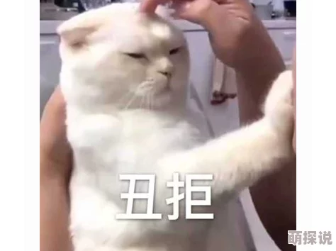 免费黑人真实处破女系列：最新动态揭示了该系列的受欢迎程度和观众反馈，吸引了更多人的关注与讨论