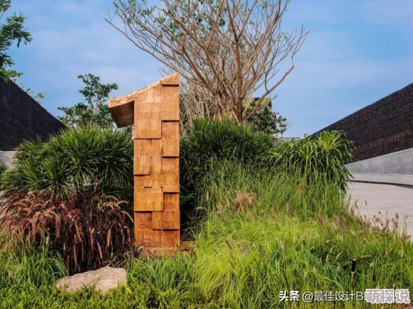 亚洲三级一区网友认为这一现象反映了社会文化的多样性与复杂性,同时也引发了对相关法律法规的讨论和思考 亚洲三级一区网友认为这一现象反映了社会文化的多样性与复杂性,同时也引发了对相关法律法规的讨论和思考